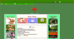 Desktop Screenshot of eviland.com
